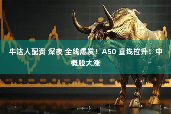 牛达人配资 深夜 全线爆发！A50 直线拉升！中概股大涨