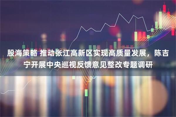 股海策略 推动张江高新区实现高质量发展，陈吉宁开展中央巡视反馈意见整改专题调研